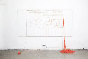 Curriculum Vitae