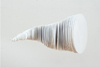 Imago