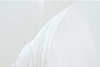 Imago