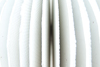 Imago