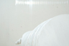 Imago